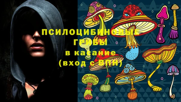 индика Липки