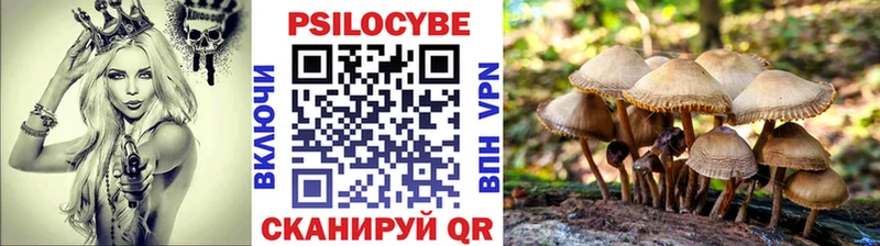 наркота  ссылка на мегу tor  Галлюциногенные грибы мухоморы  Новая Ладога 